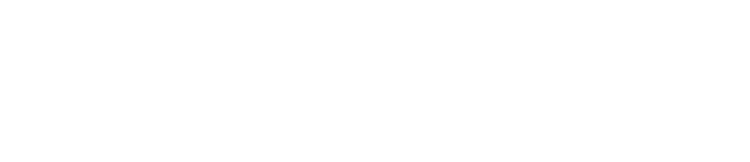 Professional Linguist Service